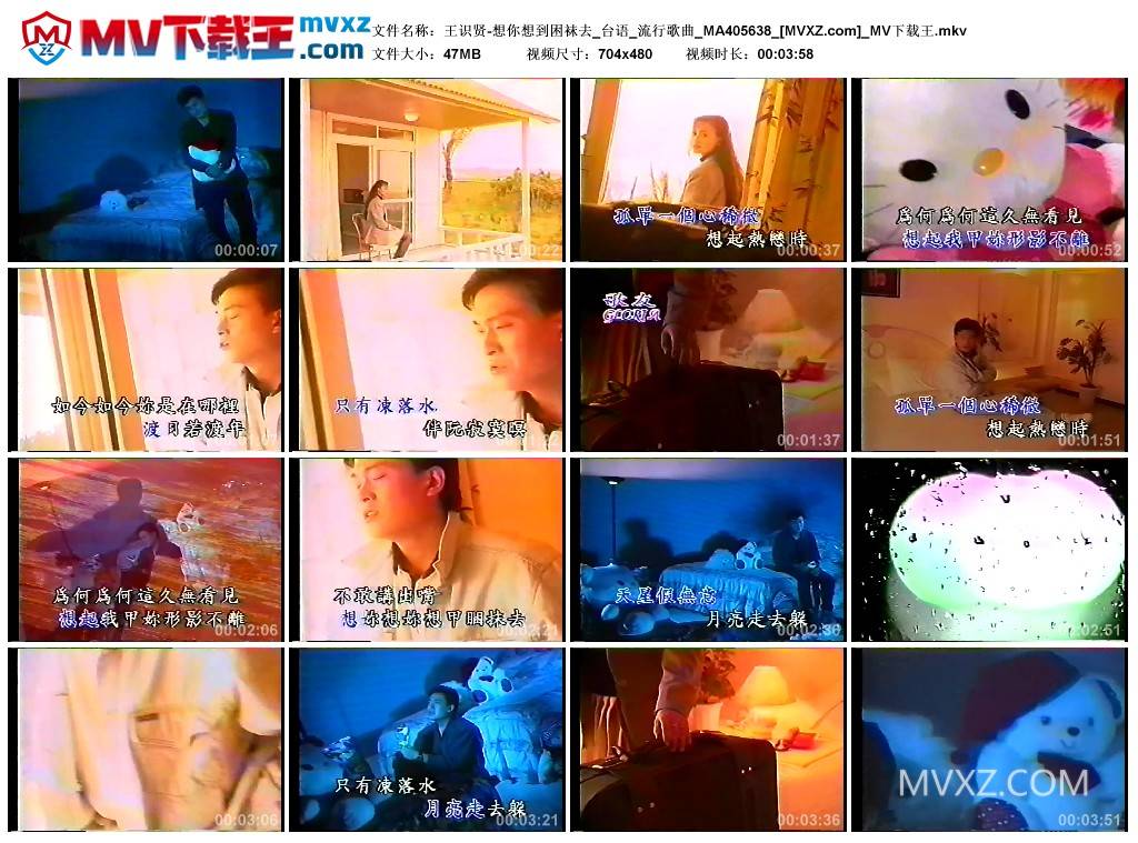王识贤-想你想到困袜去_台语_流行歌曲_MA405638